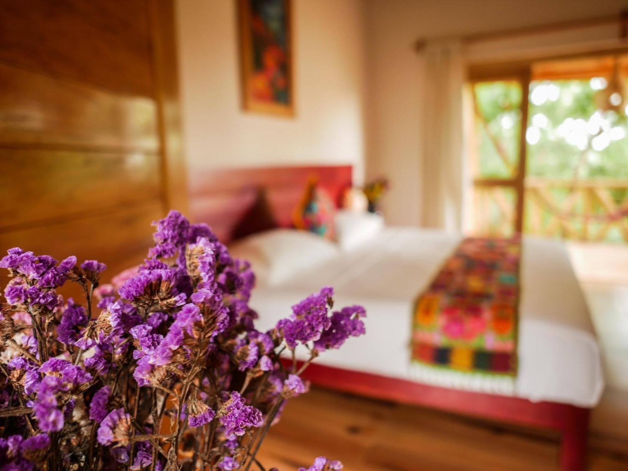 Carpe Diem Casitas & Villas מזונטה חדר תמונה